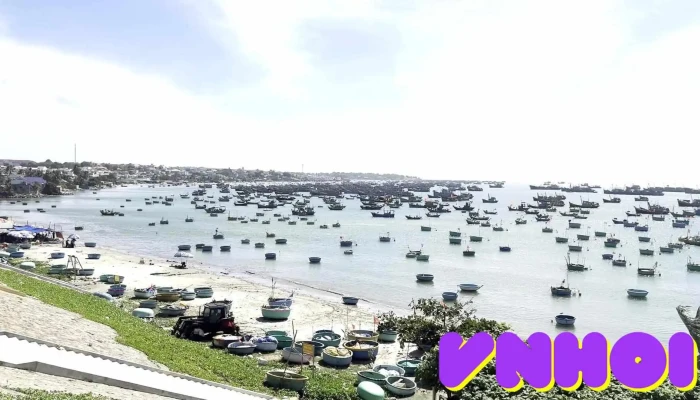 Mui Ne Fishing Harbour -  Video - Bình Thuận