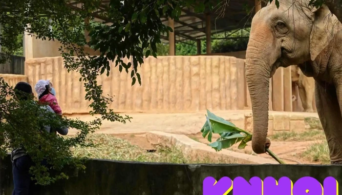 Muong Thanh Green Land Dien Lam Tat Ca - Nghệ An
