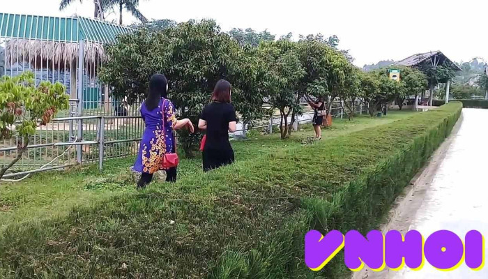Muong Thanh Green Land Dien Lam Video - Nghệ An