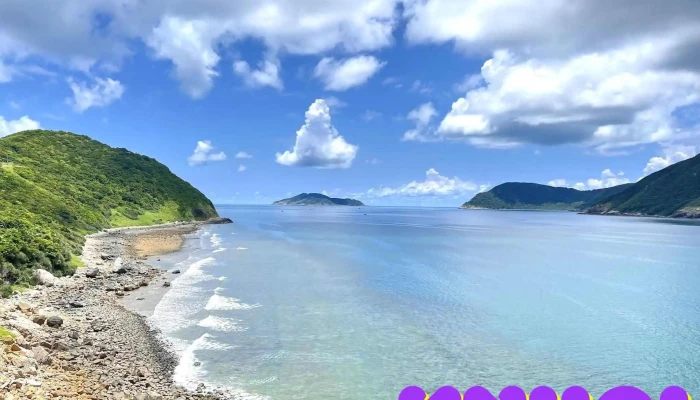 Mũi Chân Chim - Đường Cỏ Ống