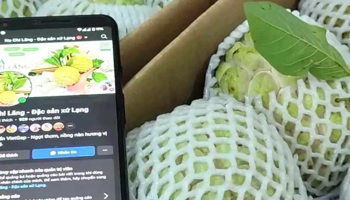 Na Chi Lang Cua Chu So Huu - Lạng Sơn