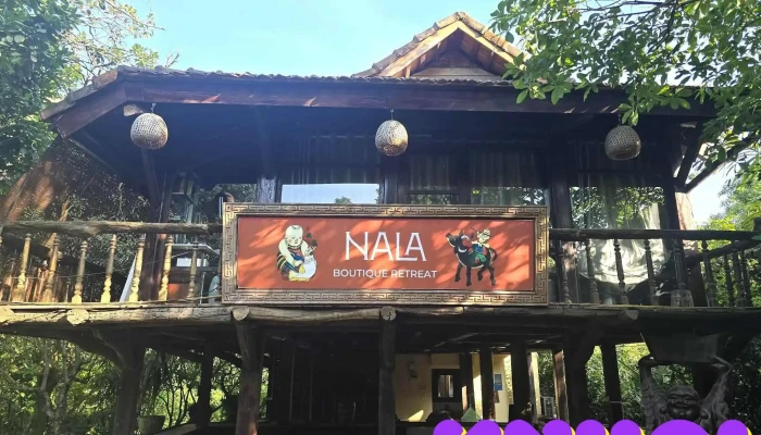 Nala Boutique Retreat -  Moi Nhat - Hà Nội