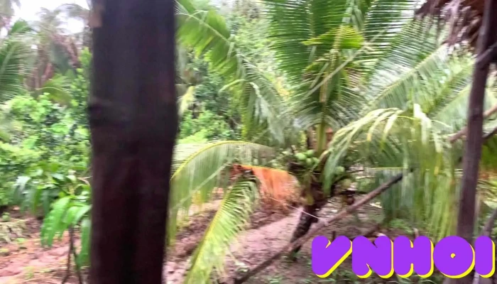 Nam Binh Homestay -  Cua Khach Tro - Bến Tre