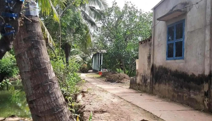 Nam Binh Homestay -  Tat Ca - Bến Tre