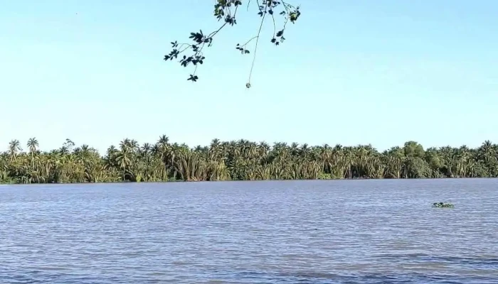 Nam Binh Homestay -  Video - Bến Tre