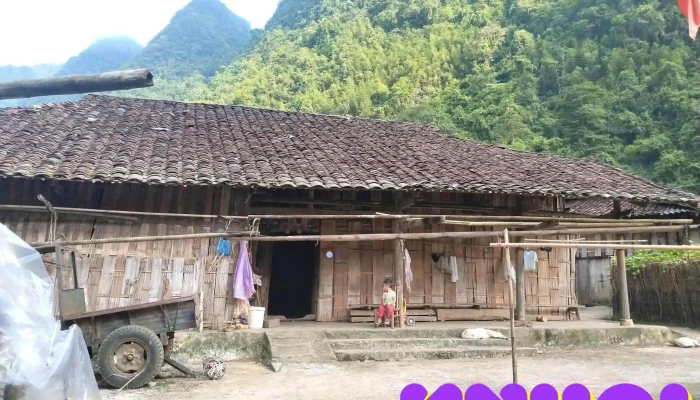 Nha Pu Trong Phim Di Giua Troi Ruc Ro Tat Ca - Cao Bằng