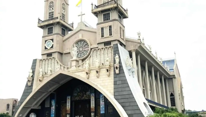 Nha Tho Chinh Toa Giao Phan Thai Binh Tat Ca - Thái Bình