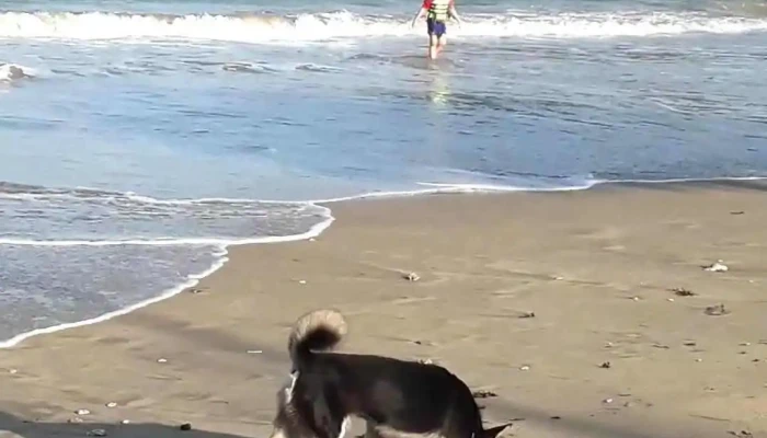 Nha Trang -  Video - Khánh Hòa