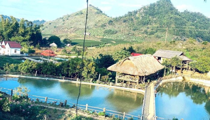 nhà vườn Ngọc Thắng - Mộc Châu
