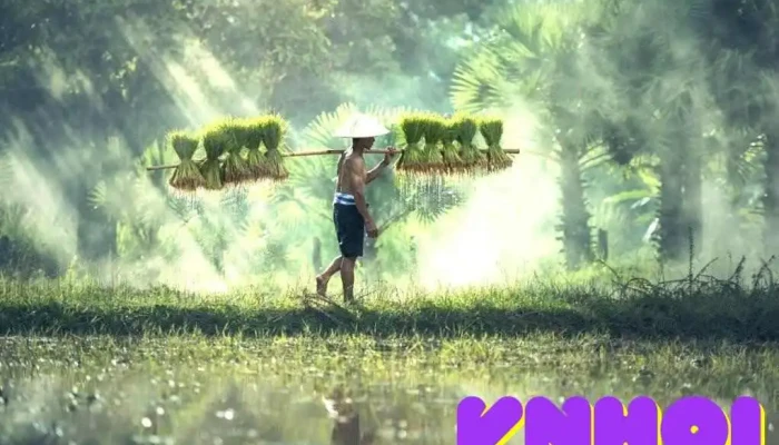 Ninh Binh Tourist Center Vietnam (Visit by appointment only) - Ninh Bình