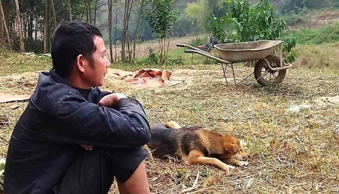 Nong Trai Gia Dinh Sy The Video - Yên Bái