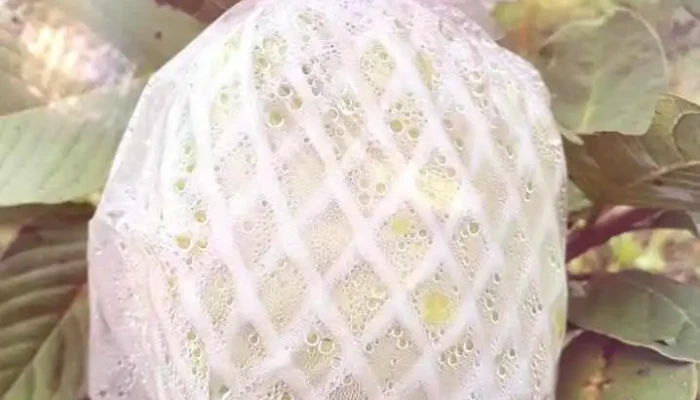 Nong Trai Tu Hien Organic Video - Bình Dương