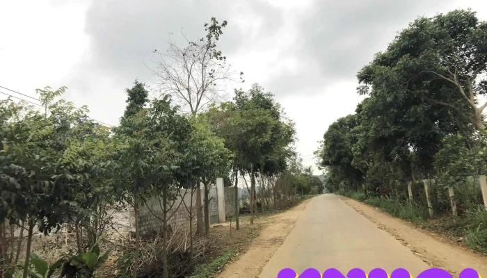 Nong Truong Dong Giao Ngoai That - Ninh Bình