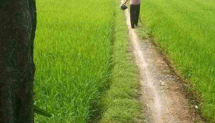 Nông trại xanh Hai Đồng - Tiền Giang