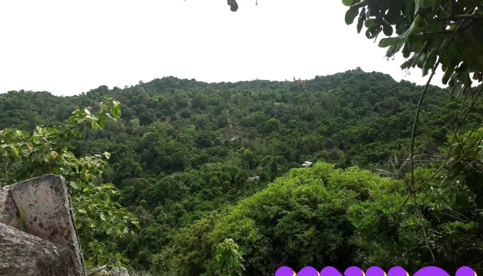 Nui Dai Nam Gieng Ngu Dai Son Tat Ca - An Giang