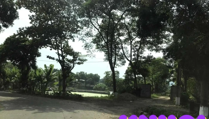 Nui Doi Thoi -  Tat Ca - Hòa Bình