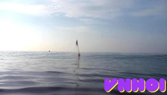 Orchid Phong Lan -  Video - Bình Thuận