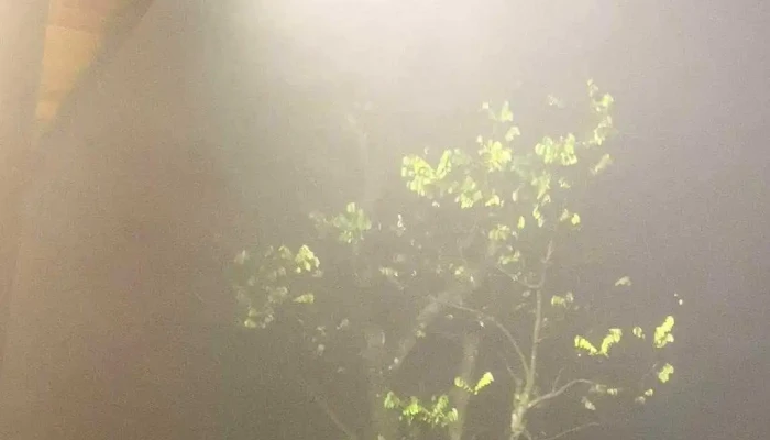 Parosand Tam Dao Moi Nhat - Vĩnh Phúc