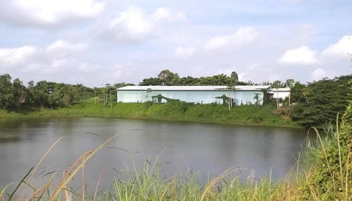 Phà An Long-Tân Quới - An Long