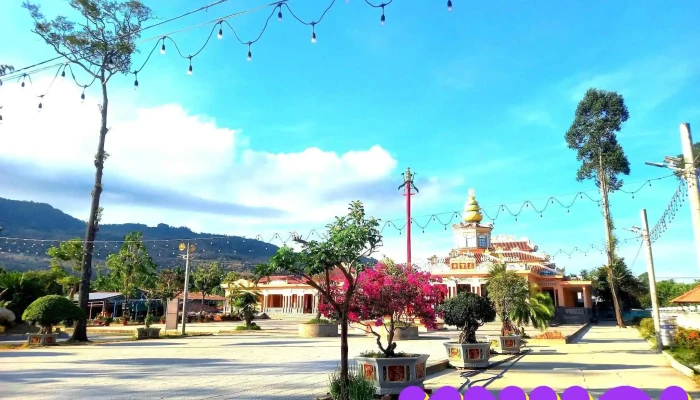 Phi Lai Tu Moi Nhat - An Giang