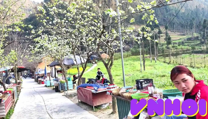 Phim Truong Chuyen Cua Pao Nui - Hà Giang
