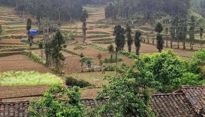 Phim Truong Chuyen Cua Pao Video - Hà Giang