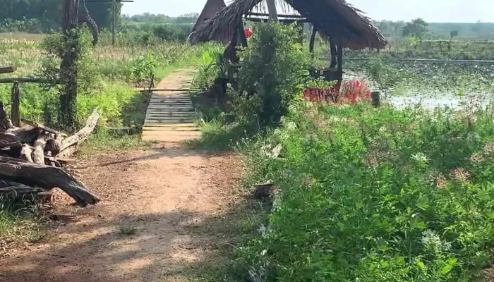Phim Truong Khanh An Video - Bình Thuận