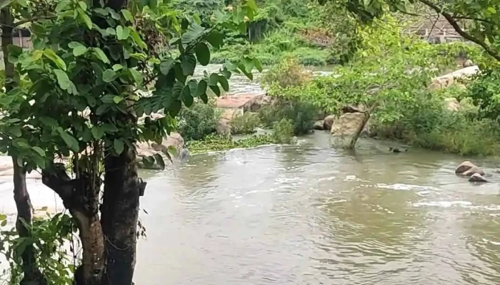Pho Da Homestay Video - Bình Thuận