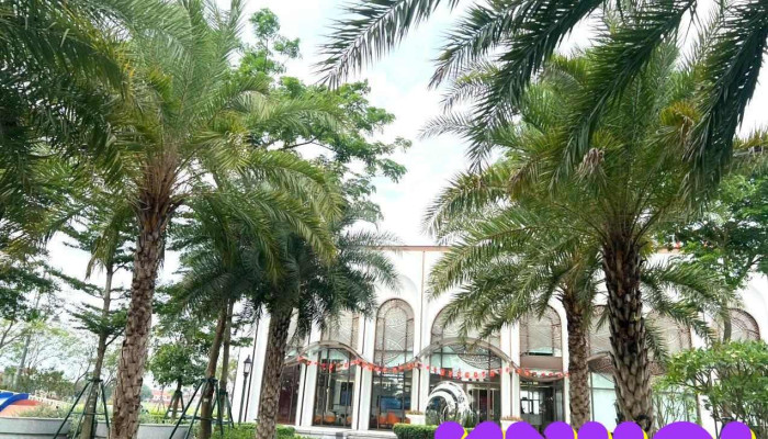 Phu My Hung Bac Ninh Moi Nhat - Bắc Ninh