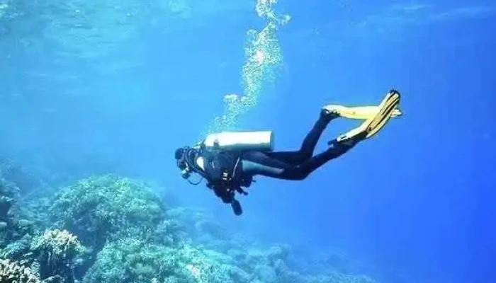 Phu Quoc Daily Trip -  Cua Chu So Huu - Kiên Giang