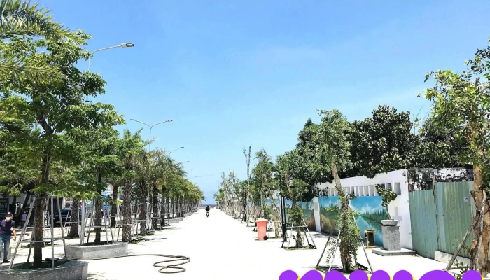 Phố đi bộ Hồ Tràm - Phước Thuận
