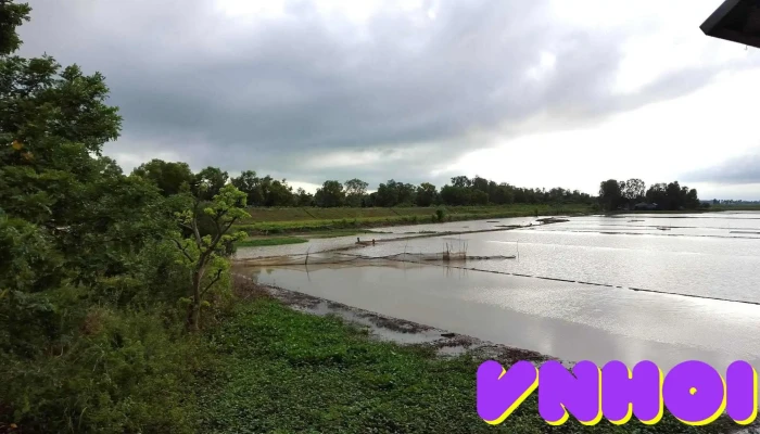Quán Cà Phê Quỳnh Hoa - Ql30