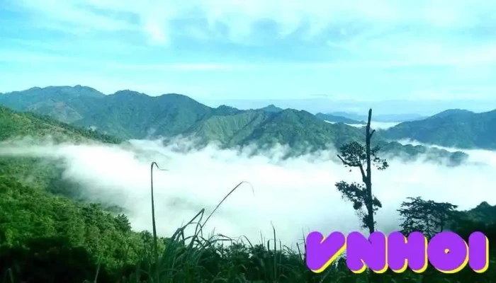 Quan Son Tat Ca - Thanh Hóa