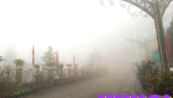 Quang Truong Huyen Tam Dao Tat Ca - Vĩnh Phúc
