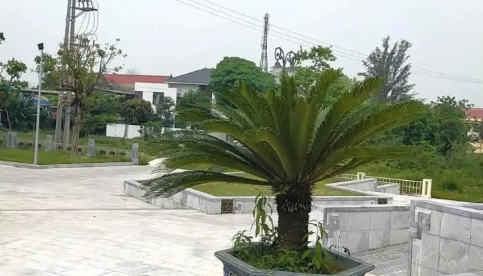 Quang Truong Xo Viet Nghe Tinh Tat Ca - Nghệ An