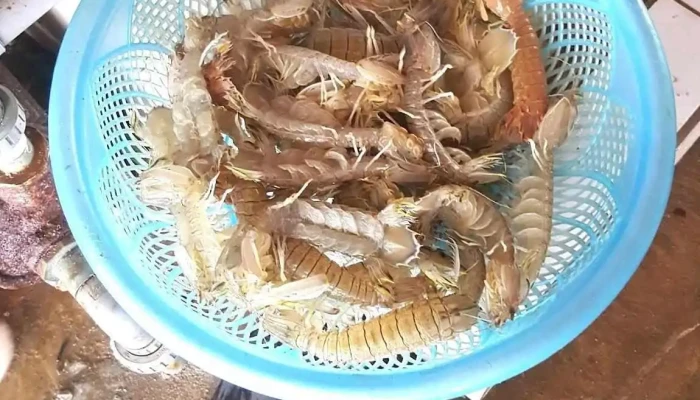 Quynh Nghia Tat Ca - Nghệ An