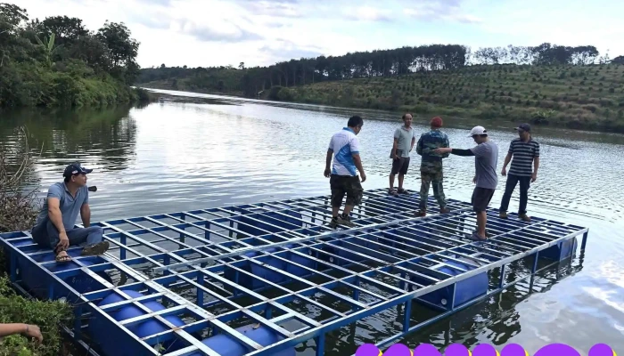 Quảng An Camping Farm - Đắk R'Lấp