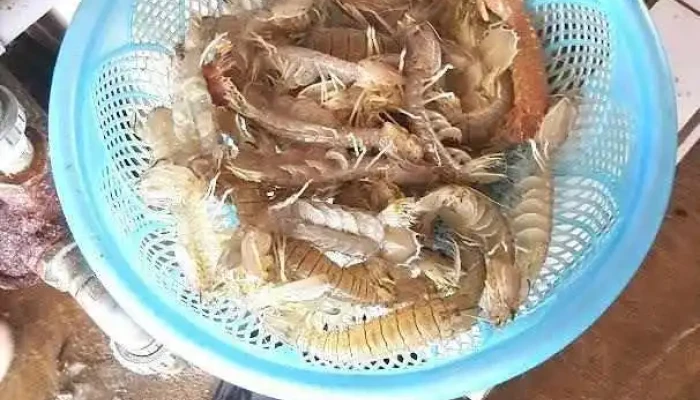 Quỳnh Nghĩa - Nghệ An