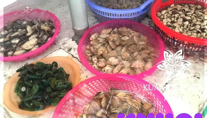 Resort Xuan Dat Viet Thuc Pham Va Do Uong - Nghệ An
