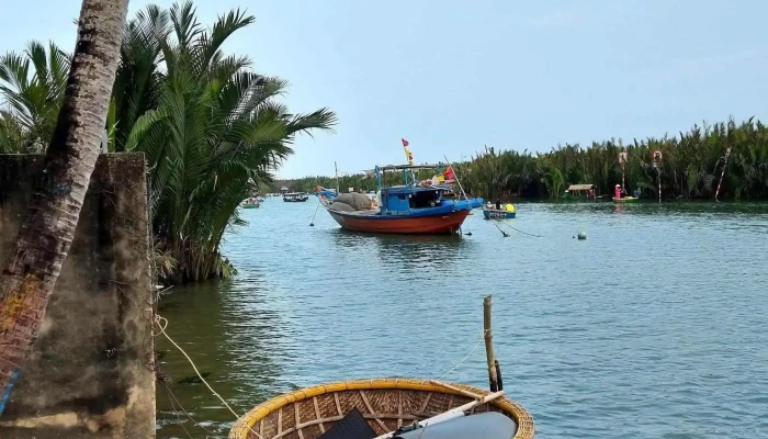 Rung Dua Bay Mau Cua Chu So Huu - Quảng Nam