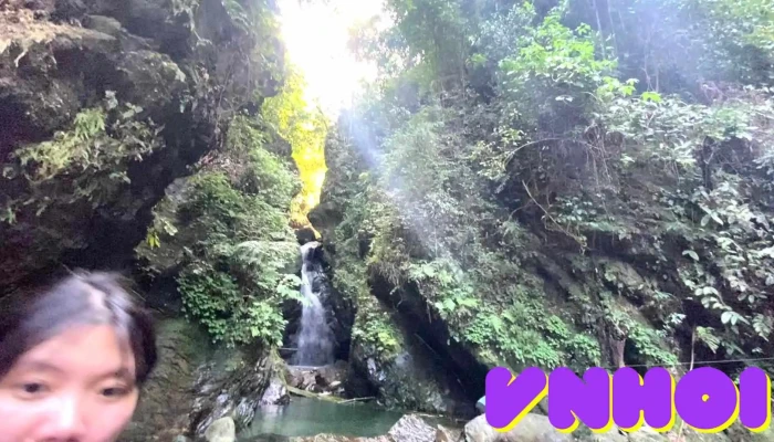 Rung Quoc Gia Xuan Son Moi Nhat - Phú Thọ
