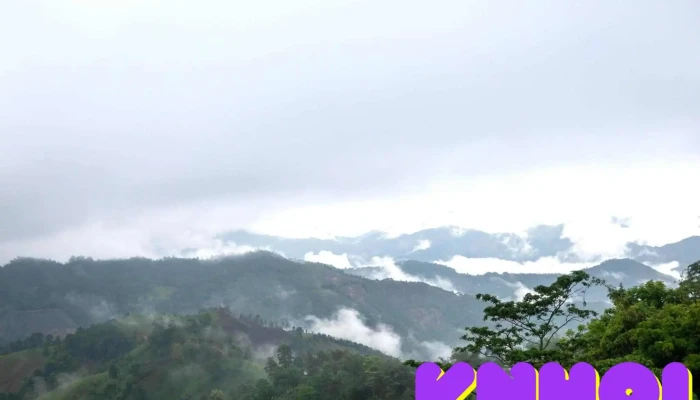 Rung Sang Le Tam Dinh   Tuong Duong Moi Nhat - Nghệ An