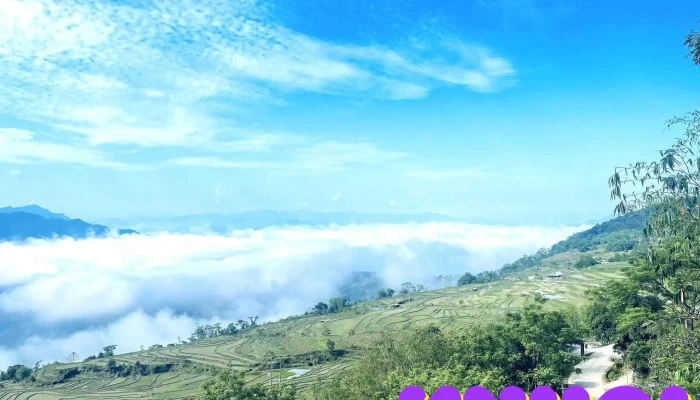 Ruong Bac Thang Hong Thai Moi Nhat - Tuyên Quang