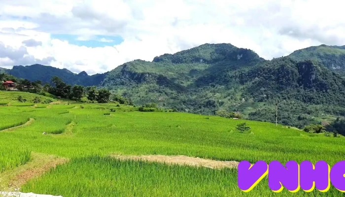 Ruong Bac Thang Hong Thai Video - Tuyên Quang