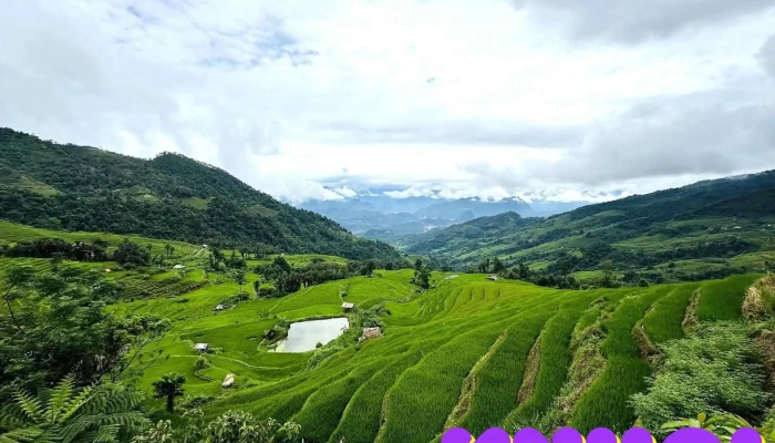 Ruong Bac Thang Thon Xa Phin Nui - Hà Giang