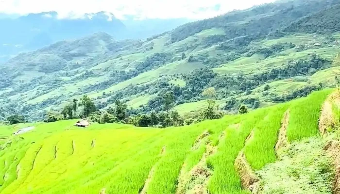 Ruong Bac Thang Thon Xa Phin Video - Hà Giang