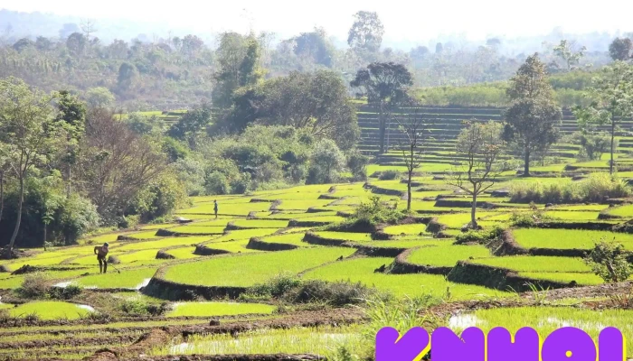 Ruộng bậc thang Chư Sê - Dun