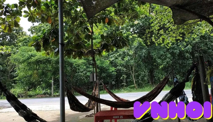 Rừng Giá Tỵ, Tân Phú Đồng Nai - Tt. Tân Phú
