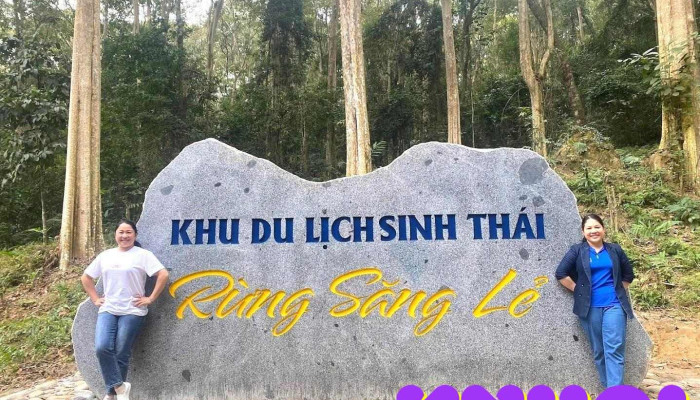 Rừng săng lẻ Tam Đình - Tương Dương - Nghệ An