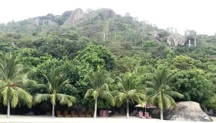 Sao Bien Moi Nhat - Khánh Hòa